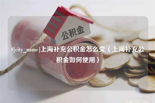 自贡上海补充公积金怎么交（上海补充公积金如何使用）